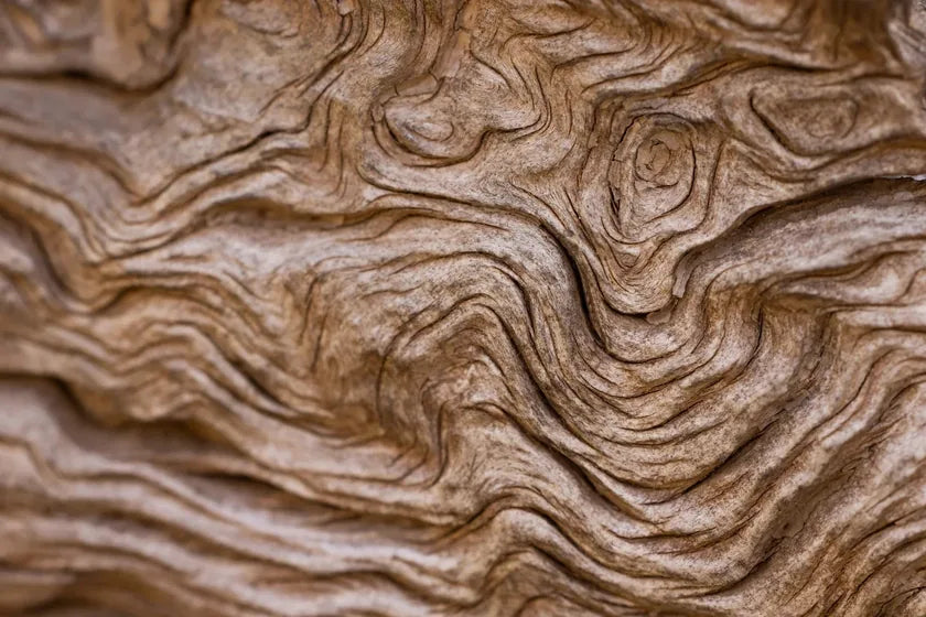 Macro detail of aged timber grain — the natural origin of a plant-derived material, in close depth.